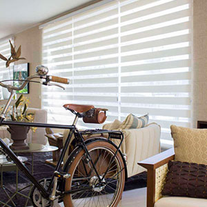 Cortinas Rolo Tela Solar